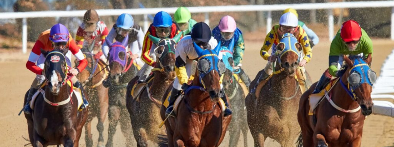 adelaide-bucks-party-activities--ideal-bride-wedding-directory