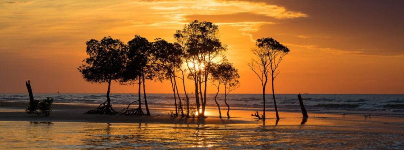 5-bucks-activities-in-darwin-that-won't-disappoint-ideal-bride-wedding-directory