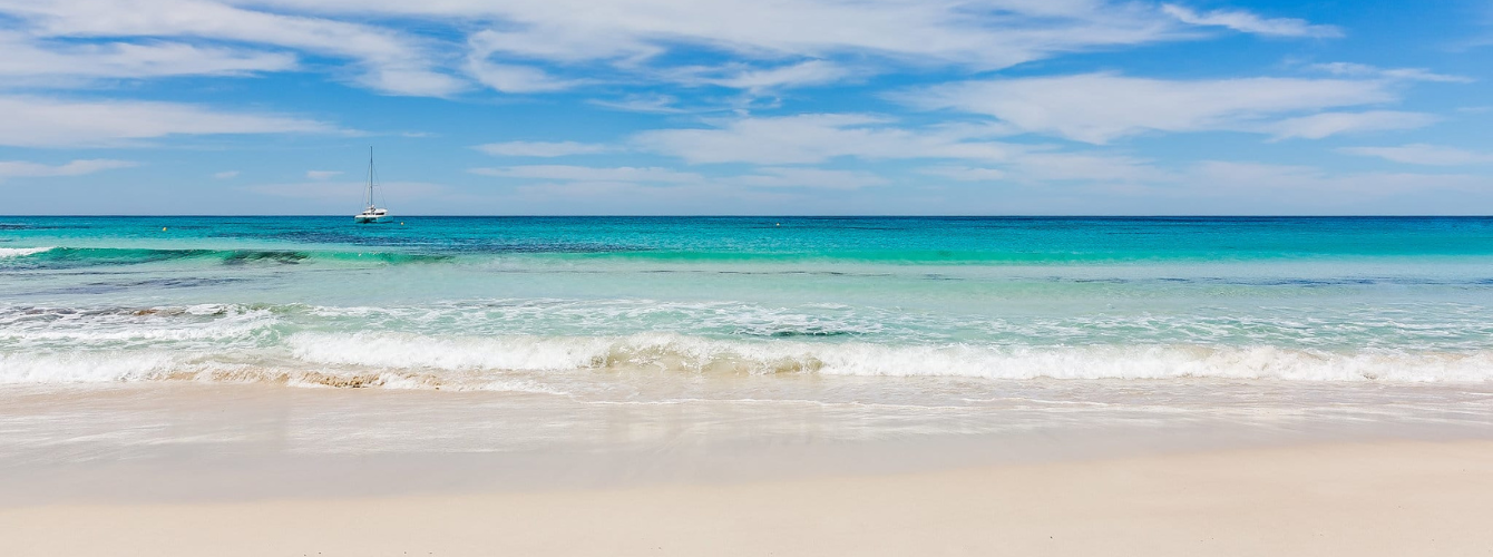 summer-of-sun-surf-and-sunflair