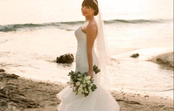 The wedding of Newsha & Reza Gallery 1